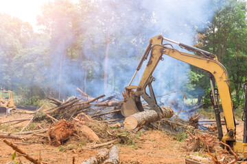 Deforestation work on tractor manipulator uproot trees which lifts logs to prepare land for housing construction.