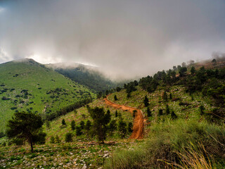 Green Scenery of Mount Gilboa in Springtime, Israel