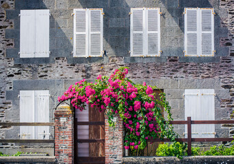 Beautiful vintage french style brick stone building house with spring flowers and white window curtains decor in Brittany region north west France