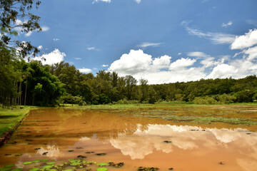 An artificial lake in a park