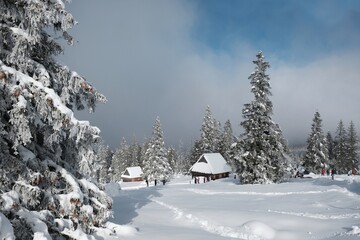 Poster - Amazing winter scenery of Tatra Mountains - Rusinowa Polana (Rusinowa Glade) with 
shepherd's huts, Tatra National Park, Poland