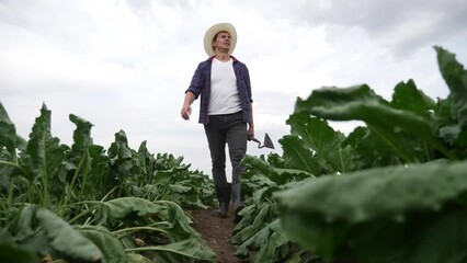 Sticker - agriculture. man farmer in a rubber boots walks green field grass crop hoe. farmer worker goes home after harvesting working day agriculture. agribusiness subsistence agriculture