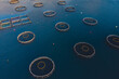 Aerial drone top view of sea fish farm cages and fishing nets, farming dorado, sea bream and sea bass, feeding the fish a forage, with marine landscape and mountains in the background, Adriatic sea