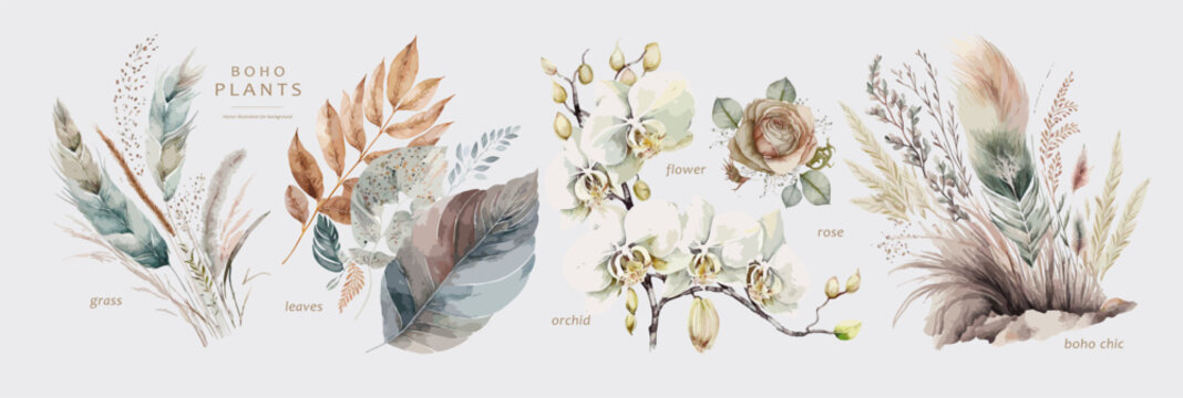 Boho floral objects. Vector illustrations of plants, flowers, orchid, leaves, feather and grass for greeting card, wedding invitation or textile