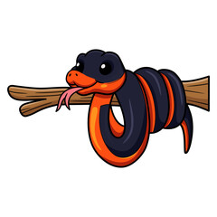 Wall Mural - Cute ring necked snake cartoon on tree branch