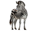 zebra on a transparent background png isolated Generative Ai