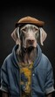 Photo Shoot of King of the Streets:A Majestic Weimaraner Animal Dog Rocked in Hip Hop Streetwear Fashion like Men, Women, and Kids (generative AI)