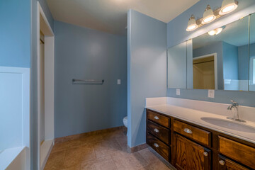 Wall Mural - Utah- Bathroom with vanity sink and light blue wall interior. There is a vanity sink on the right with seamless mirror with reflection of the closet room across near the wall with hand bar.