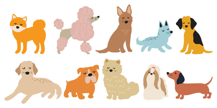 Fototapete - Set of simple dog doodles vector illustration. Drawing sketches of different dog breeds including a Shiba Inu, Poodle, Bulldog, Shih Tzu, Chow Chow, Dachshund, Wiener, German Shepherd, Labrador.