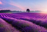Fototapeta Krajobraz - Wallpaper of a beautiful lavender field landscape. Generative ai