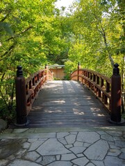  bridge in the park