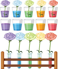 Wall Mural - set of colour science experiments