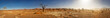 © Cavan Images - Panoramic view of sand dunes and bare tree at Sossusvlei, Namibia, Africa