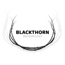 Blackthorn Branches With Thorns Crown