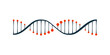 DNA icon isolated over transparent illustration