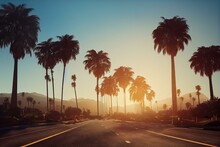 Los Angeles Palm Trees, Low Angle Shot. Sun Rays. Generative AI