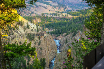 Wall Mural - The famous Grand Canyon of the Yellowstone in Wyoming