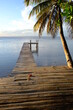 Wooden pier and palm tree, Sainte Marie Island, Madagascar