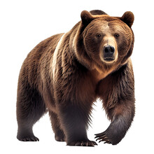 Ferocious Grizzly Bear On A Clean Background. Generative AI