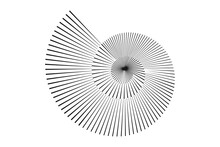 Abstract Stripped Nautilus Shell Symbol
