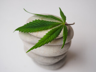 Wall Mural - cannabis leaf on pebbles . medical marijuana