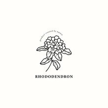 Line Art Rhododendron Flower Illustration