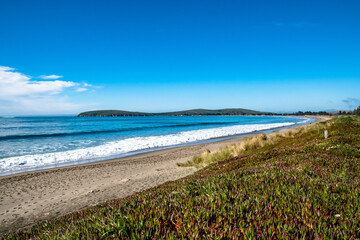 Wall Mural - Beach & Coastal Cliffs in Bodega Bay California