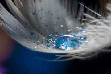 Wall Mural - feather with rain drops and little glass glitters - beautiful macro photography