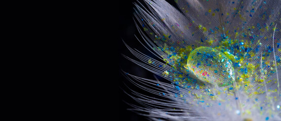 Wall Mural - feather with rain drop and little glass glitters - beautiful macro photography