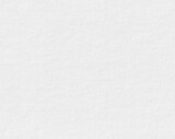 seamless white canvas texture