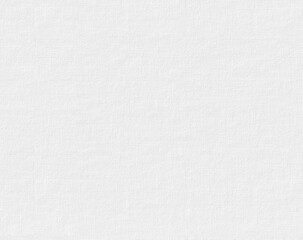 seamless white canvas texture