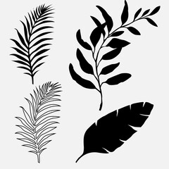  set of plants, silhouette of plants, leaves of plants, vector of plants, illustration of leaves, tropical, icon of plants, pattern of plants, illustration of plants