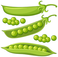 Peas | Public domain vectors