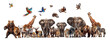 Collection of various wild animals on white background