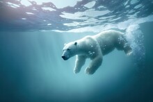 Polar Bear Swimming In White. Generative AI