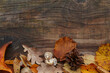 Autumnal frame with dried leaves, pumpkins and mushrooms, autumn harvest decorations