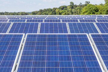 Wall Mural - rows array of polycrystalline silicon solar cells or photovoltaic cells in solar power plant