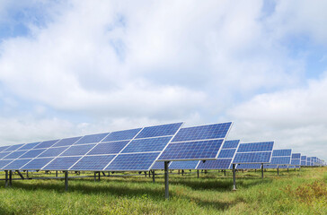 Wall Mural - rows array of solar cells or solar module or solar panels in solar power plant turn up skyward absor