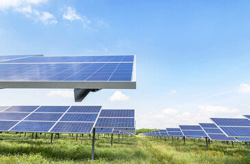 Wall Mural - close up rows array of solar cells or photovoltaics in solar power station convert light energy from