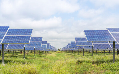 Wall Mural - solar cells or photovoltaics in solar power station alternative clean renewable energy efficiency