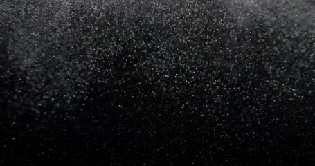 Wall Mural - Natural Organic Dust Particles Floating On Black Screen Dynamic Randomly Float In Space. Shimmering Glittering With Bokeh. RED camera Slow motion. High quality 4k footage