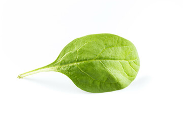 Wall Mural - Green spinach on a white background