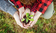 © candy1812 - Family together holding in their hands a young sprout.