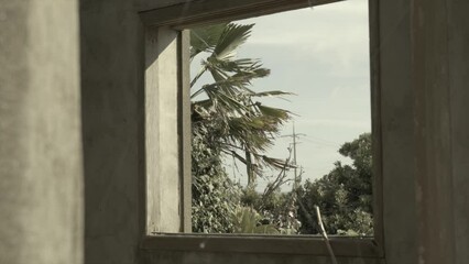 Wall Mural - Looking through the window of an abandon house in Jeju island Korea, 