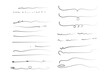 © blagorodez - Set of artistic pen brushes.Doodles, ink brushes.Set of vector grunge brushes. Collection of strokes of markers. Set of wavy horizontal lines