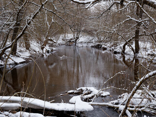 Wall Mural - snowy winter flow of water rivers on the banks ice tree branches in the snow