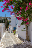 Fototapeta Uliczki - Traditional Cycladitic alley with a narrow street, whitewashed houses and a blooming bougainvillea in lefkes village, Paros island, Greece.
