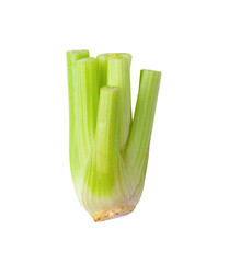 Wall Mural - Celery isolated on transparent png