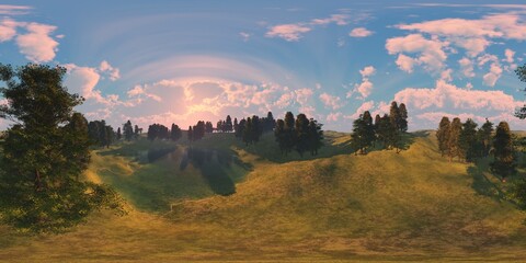 Wall Mural - HDRI, environment map , Round panorama, spherical panorama, equidistant projection, panorama 360, Forest and swamp, 3d rendering