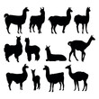 Alpaca llama animal silhouette cutting stencil templates